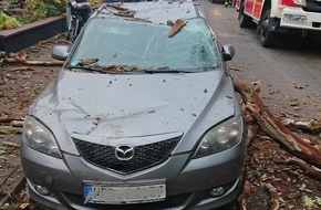Feuerwehr Dinslaken: FW Dinslaken: Baum stürzte auf geparkten PKW