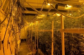Zentrale Kriminalinspektion Lüneburg: POL-LG: Professionelle Marihuana-Plantage in Bleckede entdeckt