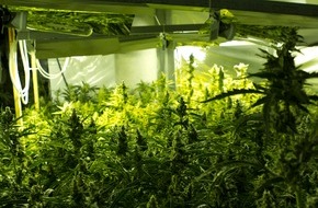 Polizeipräsidium Südhessen: POL-DA: Rüsselsheim: Rauschgift-Aufzucht im großen Stil / Polizei stellt 865 Cannabispflanzen sicher