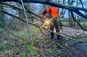 Freiwillige Feuerwehr Hünxe: FW Hünxe: Sturmschaden auf dem Hardtbergweg