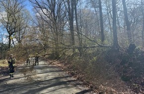 Freiwillige Feuerwehr H&uuml;nxe: FW H&uuml;nxe: Baum blockiert Fahrbahn