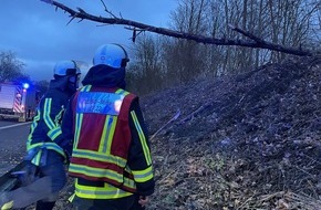 Feuerwehr Bochum: FW-BO: Sturmböen bis 90 km/h - Feuerwehr Bochum im Dauereinsatz