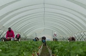 Performance de haut niveau en temps de pandémie: "CuTE-4You" remercie les agriculteurs et producteurs européens Performance de haut niveau en temps de pandémie: "CuTE-4You" remercie les agriculteurs et producteurs européens