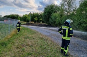 Feuerwehr Datteln: FW Datteln: Flächenbrand von 2 aufmerksamen Jugendlichen gemeldet