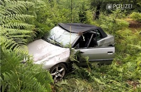 Polizeipräsidium Westpfalz: POL-PPWP: Spinne löst Unfall aus