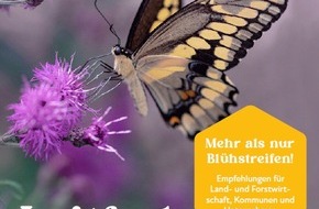 Global Nature Fund: Blühstreifen alleine reichen nicht:  Leitfaden für mehr und bessere Insektenförderung auf Landschaftsebene