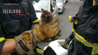 Feuerwehr Iserlohn: FW-MK: Katze im Motorraum