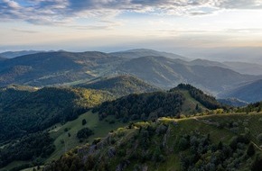 Tourismus Marketing GmbH Baden-W&uuml;rttemberg: Pressemitteilung: Knapp 11 Millionen G&auml;ste im ersten Halbjahr