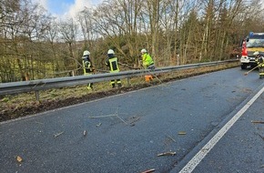 Freiwillige Feuerwehr Breckerfeld: FW-EN: Baum auf Fahrbahn