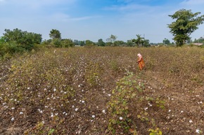 Aid by Trade Foundation stellt Jahresbericht 2025 vor: Marktposition und Wirkung der nachhaltig verifizierten Naturfasern gest&auml;rkt