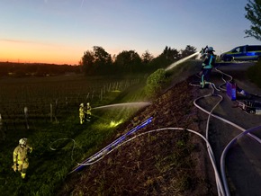 FW Weinheim: Feuer im Weinberg - Weinheimer Feuerwehr stoppt Flammen im Abendrot