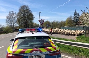 Polizeidirektion Bad Kreuznach: POL-PDKH: Ungewöhnlicher Einsatz für die Polizei Bad Kreuznach - Verkehrsregelung für Schafe