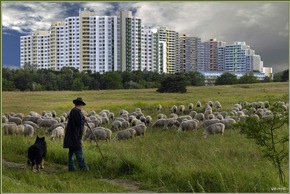 Bundesweiter CEWE FOTOBUCH-Wettbewerb entschieden: Deutschland 2009 - Die besten Bilder unseres Landes (Mit Bild)