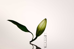 Neustart f&uuml;r die Haut: Die Dr. Hauschka Ampullenkuren unterst&uuml;tzen die n&auml;chtliche Regeneration der Haut und pr&auml;sentieren sich mit neuem Design, optimierter Anwendung und reduzierter Verpackung.