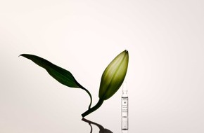 WALA Heilmittel GmbH: Neustart f&uuml;r die Haut: Die Dr. Hauschka Ampullenkuren unterst&uuml;tzen die n&auml;chtliche Regeneration der Haut und pr&auml;sentieren sich mit neuem Design, optimierter Anwendung und reduzierter Verpackung.