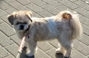 Kreispolizeibehörde Unna: POL-UN: Unna - Hund "Brutus" vor Supermarkt gestohlen - Polizei sucht Zeugen