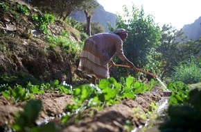 Caritas Schweiz / Caritas Suisse: Jahresrechnung 2016 von Caritas Schweiz / Erfreuliches Spendenergebnis