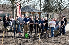 Bauhaus AG: BAUHAUS pflanzt Waldinsel in Dresden