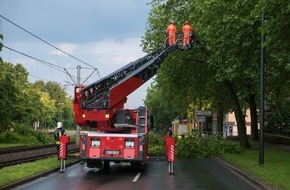 Feuerwehr Gelsenkirchen: FW-GE: Baum drohte auf die Oberleitung der Straßenbahn und die Kurt-Schumacher-Straße zu stürzen