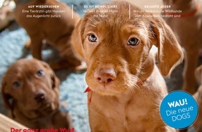 DOGS: Relaunch: DOGS erzählt Geschichten, die nur mit Hund passieren