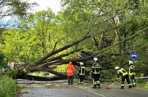 Freiwillige Feuerwehr Königswinter: FW Königswinter: Sturmböen sorgen auch in Königswinter für zahlreiche Einsätze