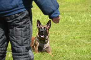 POL-FL: Polizeidirektion Flensburg - Polizeihunde bestehen jährliche Prüfungen