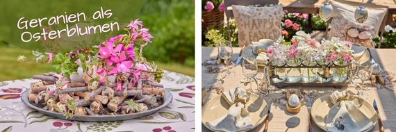 Pelargonium for Europe: Ostern in Bl&uuml;te: Bl&uuml;hende Dekorationsideen mit (Edel-)Geranien