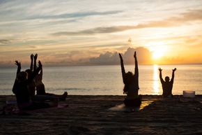 Reset in Miami: Die ruhigere Seite von Greater Miami & Miami Beach
