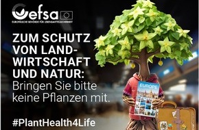EFSA: #PlantHealth4Life: Japank&auml;fer auf dem Vormarsch: Experten warnen Reisende vor Einschleppung