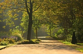 Bund deutscher Baumschulen (BdB) e.V.: Berlin setzt mit Klimaanpassungsgesetz wichtiges Zeichen für mehr Stadtgrün