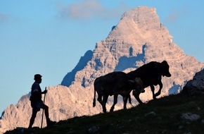 Bad Hindelang Tourismus: Heimatfest „Hindelôngar Alpzît“ am 18. Juni mit Genussmeile, Melkkuh und Live-Musik