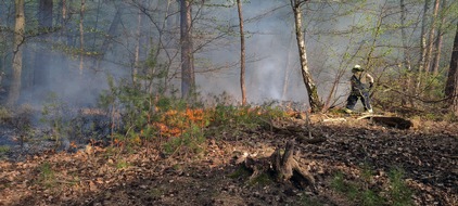 Kreisfeuerwehrverband Lüchow-Dannenberg e.V.: FW Lüchow-Dannenberg: Erster größerer Waldbrand in Nordost-Niedersachsen in diesem Jahr +++ Passant entdeckt Rauchwolke von der anderen Elbseite aus +++ Löscharbeiten beschäftigten über 70 ...