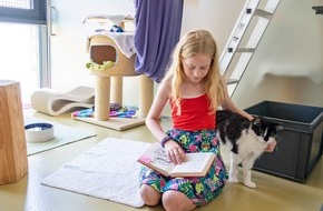 Zürcher Tierschutz: Beim Zürcher Tierschutz lesen Kinder Katzen vor