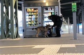Bundespolizeiinspektion Magdeburg: BPOLI MD: Sprengstoffspürhund auf dem Hauptbahnhof Magdeburg im Einsatz