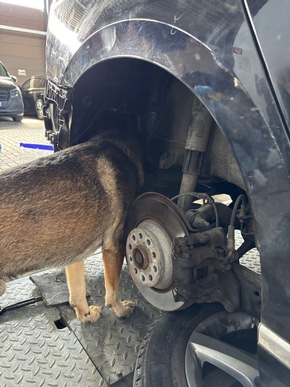 ZOLL-H: - Zoll stellt 19 kg mutmaßliches Amphetamin auf der Autobahn bei Bremen sicher - Drogen im Straßenwert von 285.000 Euro beschlagnahmt, Fahrerin in Untersuchungshaft