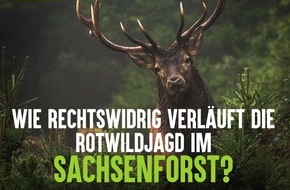 Wildtierschutz Deutschland e.V.: Wildtierschutz Deutschland erstattet Strafanzeige: Rechtswidrige Jagdausübung im Staatsbetrieb Sachsenforst