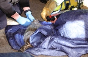 Feuerwehr Dresden: FW Dresden: Brennende Couch in Wohnung