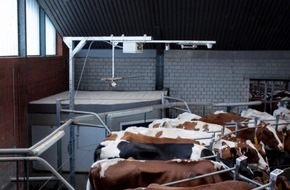 GEA Group Aktiengesellschaft: GEA DairyNet Cow Verification: New camera-based animal identification for greater data reliability in the milking parlor