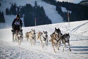 4.000 Besucher bei Schlittenhunde-Weltcup in Unterjoch - Spektakel im Allgäu sorgt für Begeisterung bei Mensch und Tier