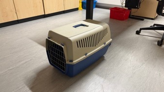 Polizeidirektion Landau: POL-PDLD: Herxheim/K44 - Katzen ausgesetzt - Zeugen gesucht
