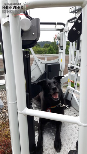 FW-MK: Rettungshunde zu Besuch bei der Feuerwehr Hagen