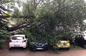 Polizei Hagen: POL-HA: Baum stürzt in Eilpe auf drei geparkte Autos