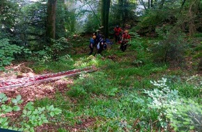 Feuerwehr Pforzheim: FW Pforzheim: Personenrettung aus unwegsamen Gelände