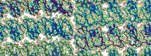 Universit&auml;t Kassel: Kasseler Forschungsteam erm&ouml;glicht Quantenrechnungen f&uuml;r biologische Gro&szlig;systeme