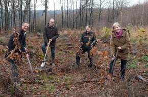 Provinzial Holding AG: Baumpflanzaktion Westfälische Provinzial