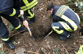 Feuerwehr Düsseldorf: FW-D: Hund aus Erdloch befreit