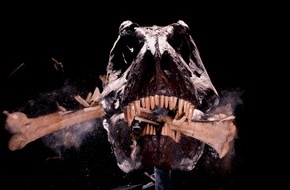 NATIONAL GEOGRAPHIC DEUTSCHLAND: Neue Methoden der Saurierforschung / War T.rex ein Aasfreser?