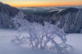 Tourismusverband Ostbayern e.V.: Winterfreude voraus / Zauberhafte Erlebnisse im Bayerischen Wald