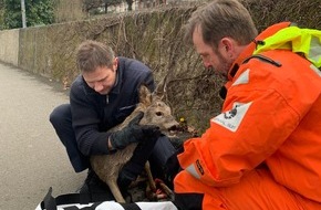 Polizeipräsidium Einsatz, Logistik und Technik: PP-ELT: Tierrettung aus dem Rhein