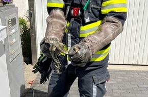 Feuerwehr München: FW-M: Zurück in die Natur (Lerchenau)